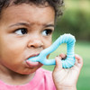 Brotes Verdes Molar Teetheraqua 2