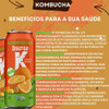 Kombucha Laranja E Gengibre Dr. K Orgânico - 350ml 1