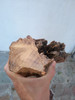 Viga De Madera 3