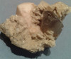 Mineral Roca Cristal Cuarzo Ahumado Fume Albita Topacio 0