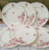 6 Platos Llanos Loza Antigua Inglesa Jhonson Bros 5