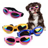 Lentes  De Perros, 3
