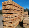 Madera Saligna Para Obra 1