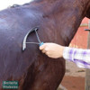 Escovão + Raspadeira + Rodo Kit Pra Banho Do Cavalo Promoção 3