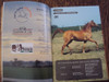 Pequeño Catálogo Santa Maria Endurance Remate Otoño Caballos 2 Pequeño Catálogo Santa Maria Endurance Remate Otoño Caballos 2