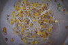 Brote Germinado Orgánico De Rabanito 2