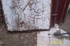 Puerta C Marco 77 Cm X 215 Cm. 3