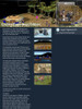 Empire Earth Gold Edition - Descarga Digital - Pc #19857 1