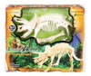 Esqueleto Dinosaurio Triceratop Para Armar + Poster A Color 0