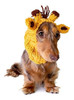 Zoo Snoods The Original Knit Giraffe Dog Snood 0 Zoo Snoods The Original Knit Giraffe Dog Snood 0