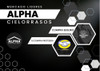 Barbacoas, Techos, Cerramientos 1