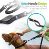Correa Elastica Para Perro (negro) 5