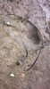Cable Abs Jac J2 Sin Ficha 1
