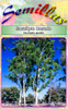 Semillas De Eucalipto Rosado (eucalyptus Grandis) 2
