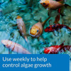 Api Pond Algaefix Algae Control Botella De 16 Onzas (169b) 1