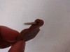 Llavero Fiat Peugeot Sevel Ruca Moar Antiguo 128 Insignia 2 Llavero Fiat Peugeot Sevel Ruca Moar Antiguo 128 Insignia 2