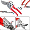 Tijeras D/podar Hylejhjy Herramienta P/bonsai Rojo 3