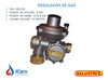 Regulador Para Gas Natural 16m3/h Salustri 1