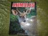 Animales En El Bosque Panorama Infantil Coleccion Fauna 1969 0
