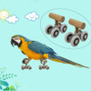 Pequenos Papagaios Truque Patins Ajustável Pet Aves 5