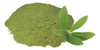 Stevia En Polvo Pura 100% X 250 Gr 1