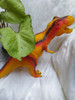 Dinosaurio Rex Hermoso!!!! 3