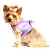 Coleccion Ombre De Arnes De Perro De Rio Americano - Hela 2