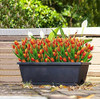 Tulipanes Artificiales X8ramos (5tallos-flores C/u) Orange 1