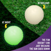 Chew King Pelota De Búsqueda Brillante 3 Pulgadas Paquete De 1