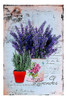 Láminas Decoupage Laura Craft Set Lavandas 2