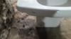 Bidet Ferrum Nórdico 2