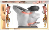 Parche Chino Para Dolores Del Cuerpo X 1 Sobre - Caba - 2