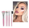 Set De 5 Pinceles Maquillaje Pelo Sintetico Color Rosa 0