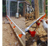 Bebedero Automático De Agua Para Gallinas Y Aves De Corral 3