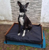 Camita Para Perros 0