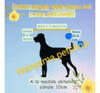 Camita Para Perros 6