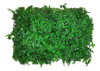 Jardin Vertical Artificial Panel Cesped M10 - Sheshu Home 0