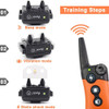 Ipets Perro Extra Recargable Y Resistente Al Agua Collar De 2
