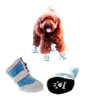 Calzado Mascota Zapatilla Bota Botita Canino Color Celeste 1