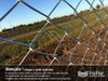 Alambre Tejido Romboidal 3'' 2,00x10mts Cal 14 Trefilar 6