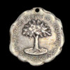 Medalla Primera Fiesta Del Arbol Año 1904 - 560 0