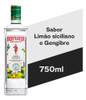 Bebida Mista Alcoólica Lemon & Ginger Beefeater Botanics Gar 0