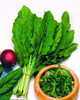 Sementes Azedinha Rumex Acetosa Folha Larga Carta Registrada 4