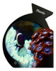 Lupa  Acuario Lente 27mm Aumento 3x Reef Corales Mantis Iman 2