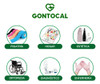 Caja X 12 Cintas Tipo Micropore 2,5 Cm X 9 Mts 1