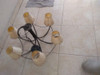 Araña 6 Luces 3