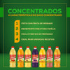 Kit 6 Suco Concentrado De Manga Maguary 500ml 3