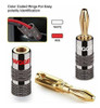 Wgge Wg-029 Conector De Clavija De Audio Con Clavijas Tipo B 2