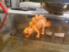 Dinosaurio De Goma/plástico. $1500 C/u 2