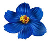 Hula Girl Paper Foam Hibiscus Color Assorted Flower Lei Hawa 1